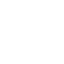 icon Skrill